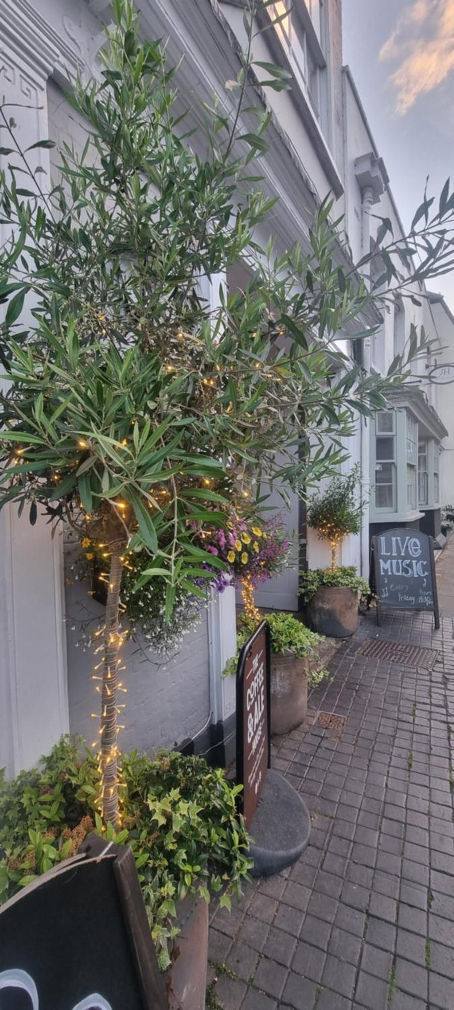 Bed and Breakfast White Horse Maldon Exterior foto